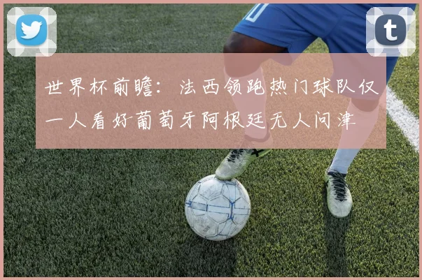 世界杯前瞻：法西领跑热门球队仅一人看好葡萄牙阿根廷无人问津