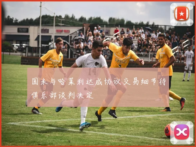国米与哈莱利达成协议交易细节待俱乐部谈判决定